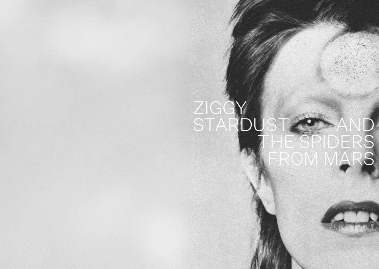 Ziggy stardust and the spiders from mars