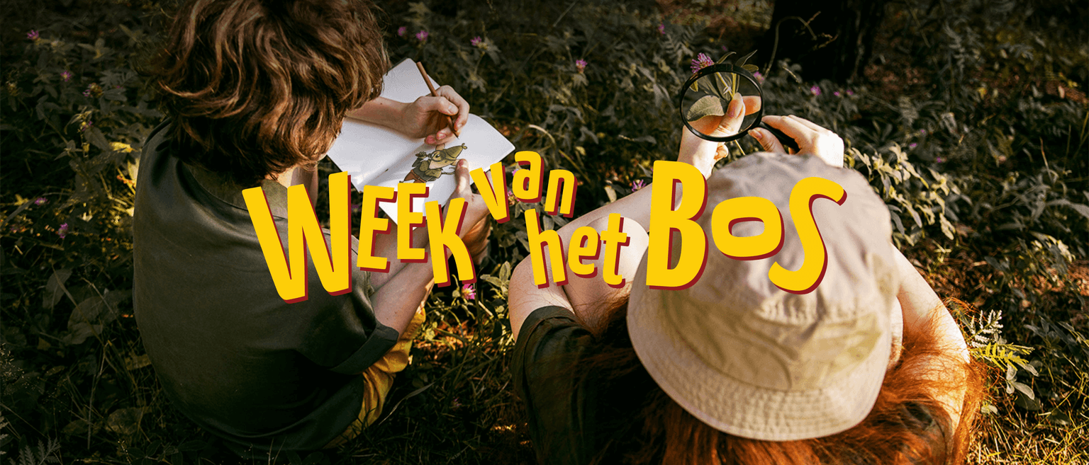 Superkraft - Work - Week van het bos - Hero